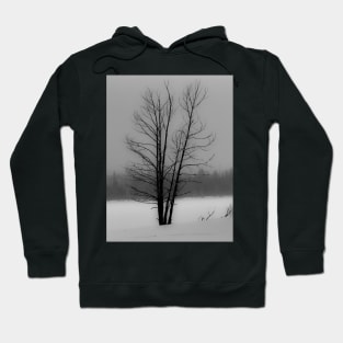 Tree in a winter storm Hoodie